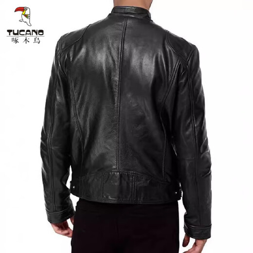 Woodpecker (TUCANO) 2026 Men's Leather Jacket Men's Teen Stand Collar Punk Men's Motorcycle Leather Jacket Plus Brown M