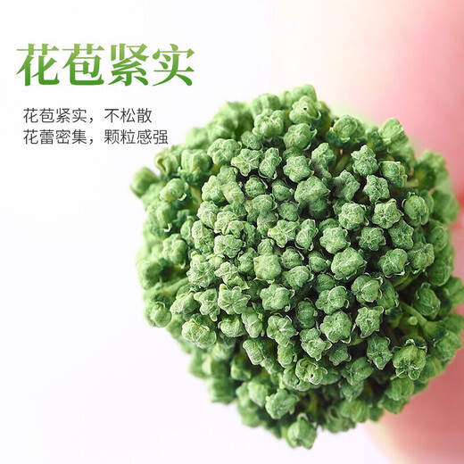 Shanzhen Sanqihua Yunnan Health Tea trempe dans l'eau et bu des comprimés de poudre Tianqi spéciaux de Wenshan de Wenshan Sanqihua 80 grammes