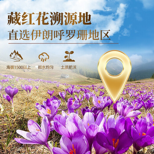 歌狮坦伊朗藏红花精选优质番红花全红长丝泡水养身茶 当季新花 送礼佳选 紫金轻奢礼盒2g