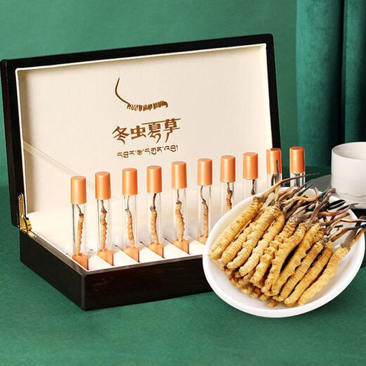 Beijing Tongrentang Tong Qualidad 2024 Cordyceps de primer término 10 Cajas de regalo para Cordyceps rotos Productos secos enteros SF Express Select 2 varillas/g 20 Packle de tubería de lujo Box de regalo