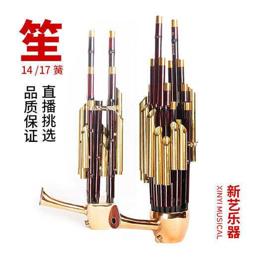 Neue Kunst 17 Frühling 14 Spring Verstärkte Sound Sheng Musikinstrumente Komplett Runde Sheng Square Sheng Kultivierungstools Ji Ji Musical Instrumente Sheng Pack Anfänger