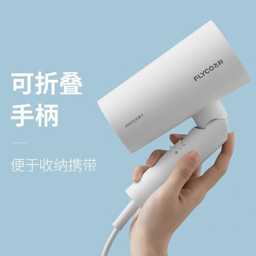 FLYCO Portable Hair Dryer Negative Ion Household High Power Deep Hair Hair Dryer Quick Drying Foldable Birthday Gift for Girlfriend FH6276 Milky White + Storage Bag