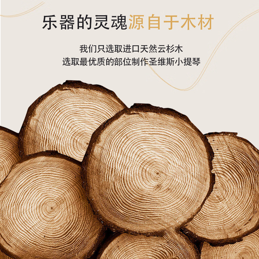 圣维斯sw003纯手工实木小提琴初学者儿童10级成人演奏入门专业级比赛 1/2 身高130-140