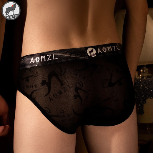 Die Liebe zur Arroganz im Frühjahr und Herbst Sommermänner Unterwäsche sexy Ice Seide Transparent Dreieck Mid-T-T-T-T-Waist Ultra-dünn jung