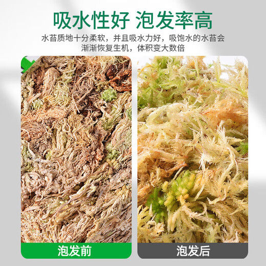 Green family sphagnum moss butterfly orchid special soil moss bodhi nutritious soil plant turtle mat material dendrobium candid planting 12L