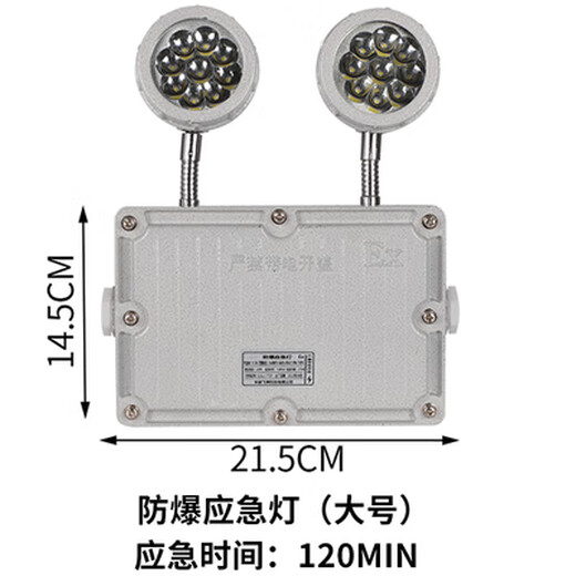 防爆应急灯BCJ防爆标志灯双面防爆安全出口疏散指示双头两用灯 防爆应急灯(大号)