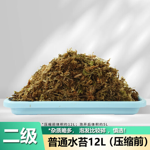 Shangyang sphagnum moss about 12L (level 2) turtle hibernating climbing pet Clivia orchid moss potted fluffy moisturizing nutritious soil