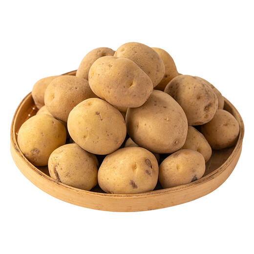 Stewing season, about 400g of pink and waxy yellow-centred small potatoes