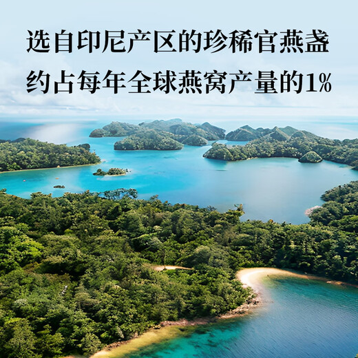 同仁堂北京同仁堂燕窝干盏【高端印尼黑金标100g】干燕窝礼盒端午节礼物