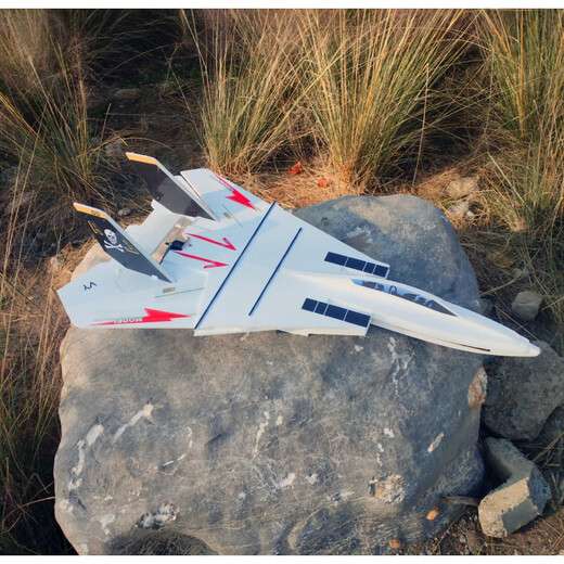 BILLY RICE modèle réduit d'avion télécommandé à monter soi-même compétition F14 modèle réduit d'avion à voilure variable chasseur résistant aux K électrique autonomie de la batterie de 15 minutes blanc nouveau matériau panneau kt avion vide + fil d'acier + pieds de gouvernail + tige de carbone, feuille de carbone