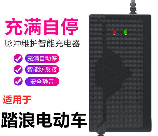 桐汝壁适用踏浪电动车车充电器4812AH20ah607230AH64电车三轮 4840-45AH T型通用