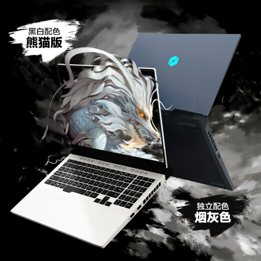 Mechanical Revolution (MECHREVO) Jiaolong 16Pro 16-inch gaming e-sports laptop (R7-7745HX16G1TRTX4070240HZ2.5K gray)