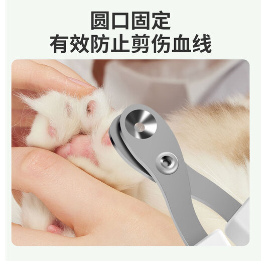 Meow, wow, little blind scissors, cat claw nail scissors, special cat nail scissors, nail clippers, nail clippers, anti-cut supplies for novices