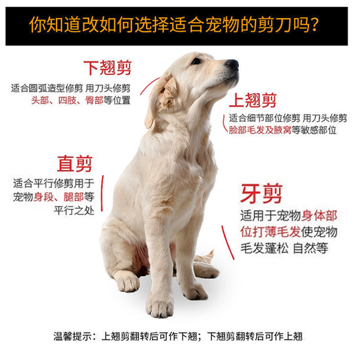 Tanizaki pet scissors 7-inch double-tailed nail scissors set beauty curved scissors for cats and dogs universal hair trimming and shearing tool #7-inch double-tailed nailed upward scissors + care set