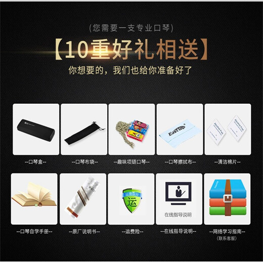Guoguang Old Brand harmonica 28 trous Stress C-Tune Performance professionnelle Grade 24 hols Polyphonics pour les étudiants étudiants masculins et féminins [niveau de jeu] Gift Polyphonic Matte à 24 trous +