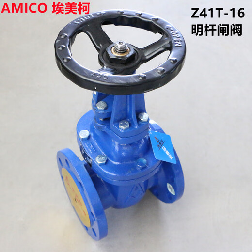 AMICO宁波埃美柯阀门Z41T-16铸铁法兰明杆闸阀蓝色自来水消防管水气冷热水大口径阀6196B DN50=2寸明杆法兰闸阀