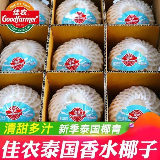 Goodfarmer Goodfarmer Thai imported coconut green single fruit 900g + free coconut opener straw fresh fruit Goodfarmer 6 pack single fruit 900g-1200g