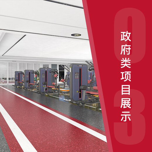 HARISON straight arm high pull back muscle trainer commercial multi-functional fitness equipment strength equipment comprehensive trainer G1066