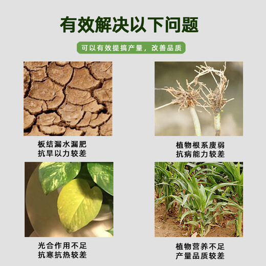 Activador de suelo de plantación de Ebay fertilizante de agua negra fertilizante de flores universal suelo suelto fertilizante de flores de plantas finas fertilizante soluble en agua activación del suelo activador del suelo del tesoro 290 g 5 botellas + cuchara medidora