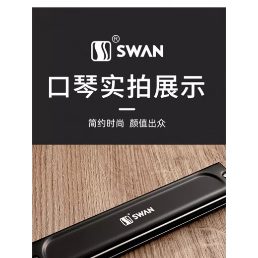 Swan (Swan) allemand Gong Gong 28 trous Accent Harmonica Performance Niveau Polyphonique 24 trous Les débutants pour adultes Performance professionnelle de 28 trous Gol-trous polyphonique + cadeaux complets de cadeaux