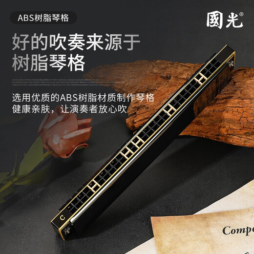 国光上海国光口琴28孔重音高级成人专业演奏级复音C调初学者入门乐器 28孔 C调 宽音域银色重音+学习资料