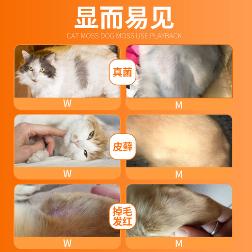 Puante Pet Dog Medicinal Bath Malasebacterium Black Chin Fungal Skin Disease Seborrheic Dermatitis Shower Gel Bartodin + Banov Shower Gel + Ointment