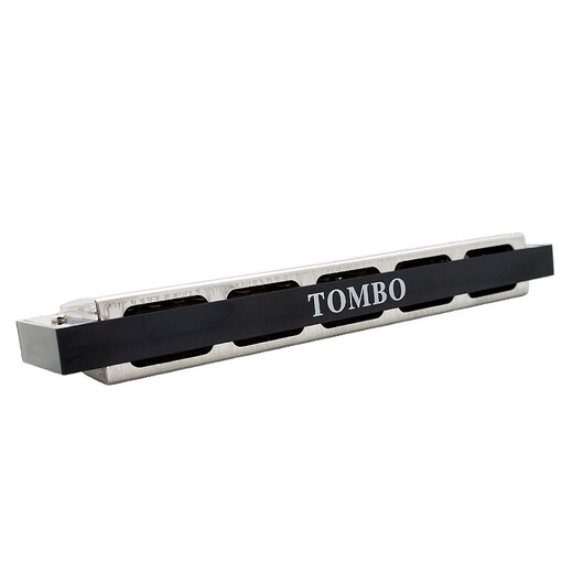 Tongbao 21 Hole Polifonic Armónica para niños Adultos Principiantes C Tune Introducción Tocando instrumentos musicales Gong 6621 21 Hole - Modelo de bajo LD