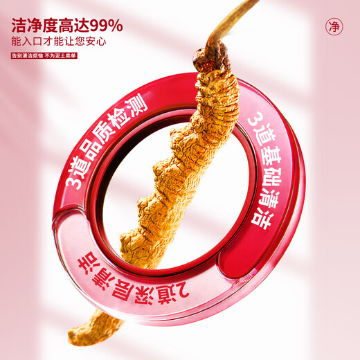 太守堂 冬虫夏草2根/g 5克礼盒装(约10根)年货礼品高海拔高洁净新干虫草