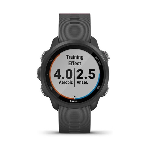 GARMIN Forerunner 245 Sports Watch Pulse Blood Oxygen Smart Heart Rate Outdoor GPS Running Training Watch Mysterious Gray-Regular Edition