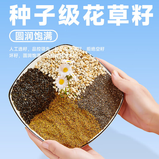 YEE probiotic full price parrot special food tiger skin black phoenix peony small sunbird food nourishing pill bird food parrot feed 1000g peony special grade feed