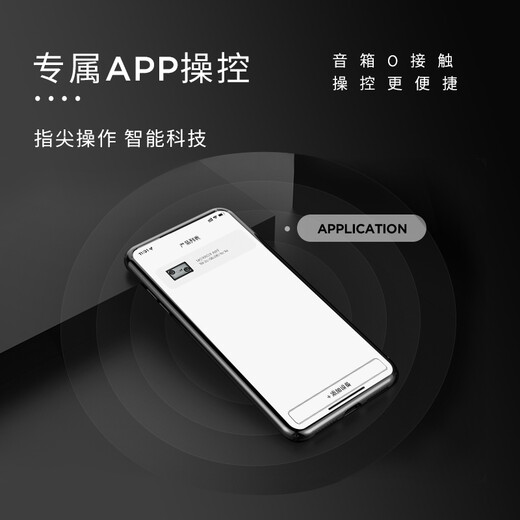 MORRORART suspended transparent lyrics speaker wireless bluetooth home audio subtitles visual living room bedroom smart home birthday gift