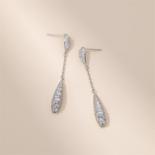 Qlady temperament tassel drop earrings for women 2023 new silver needle earrings women's earrings niche design high-end white gold no Specifications