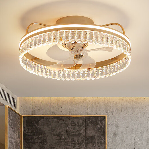 Fuxin modern light luxury bedroom fan light atmospheric ceiling fan lights dining room fan lights Guangdong Zhongshan lamps 686 models 50CM+360 headless