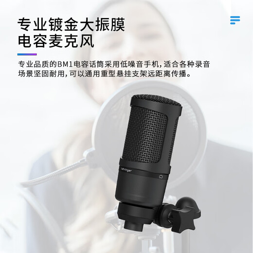 Behringer Behringer BM1 microphone computer microphone live broadcast sound card karaoke audiobook recording large diaphragm heart-shaped condenser microphone BM1 desktop stand