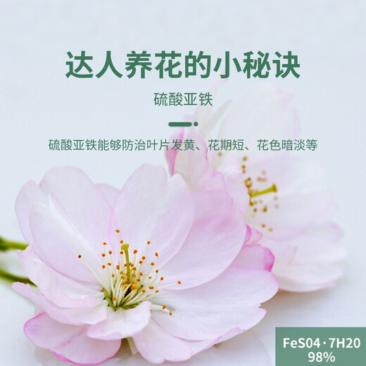 Huawoli Ferrous Sulfate 500g Iron Fertilizer Anti-Yellow Leaf Gardenia Fertilizer Growing Flowers Regulating Soil Acid-base Single Element Fertilizer