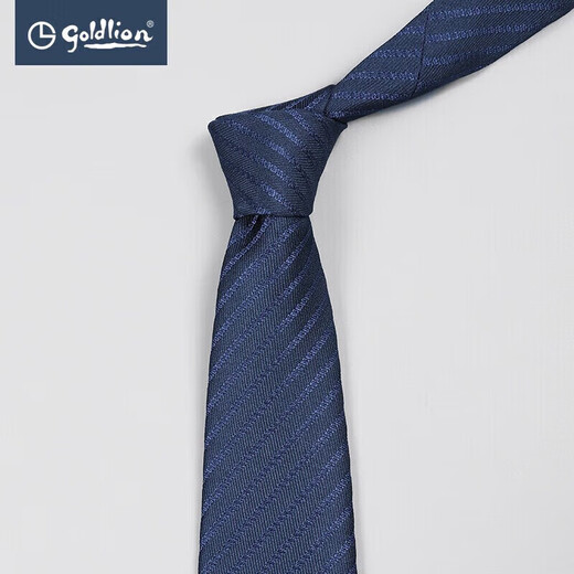 Goldlion Men's Exquisite Striped Tie Fashionable Business Casual Formal Interview Gift Box for Boyfriend