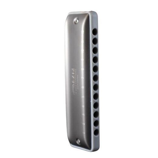Hole Sound 12 Holes Total Scale Blues Armonica EZ12 Tuning Beginner Blues armónica Adulto Profesional Performance Nivel 12 Agujeros D-Tuning Silver [con bajo 4/6]
