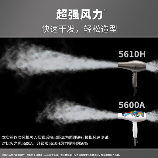 Fire Phoenix Hair Dryer 5610H High Speed Hair Dryer Home Hair Salon Grade 2400W High Wind, Quick Drying, Low Noise Barber Shop Special Constant Temperature Hair Care Hair Dryer Titanium Gray