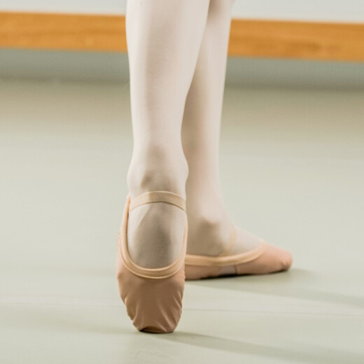 Sansha children's ballet leather training shoes dance soft shoes cat claw shoes two soles 161LCO pink 31