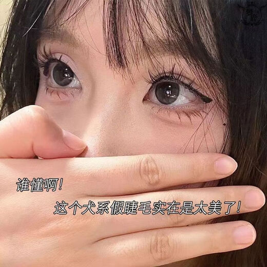 Menglu glue-free 10 rows of thick dog eyelashes for lazy people with small breasts, cartoon canine super soft eyelashes for beginners, natural eyelashes, 96 clusters of glue-free dog eyelashes + silver gold feather tweezers