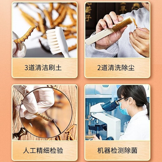 [Authentische Cordyceps] Big gebrochenes Gras authentisch Cordyceps gebrochenes Gras Cordyceps gebrochenes Grasfrüchte Cordyceps gebrochenes Gras selbst zu essen tonisch Cordyceps gebrochenes Gras Tibeter Big gebrochenes Gras 10g