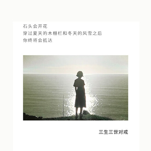 MZMZ platinum couple ring pt950 platinum wedding diamond ring matching ring Valentine's Day birthday gift for girlfriend and wife when/next day delivery - light luxury three lives three worlds living mouth matching ring