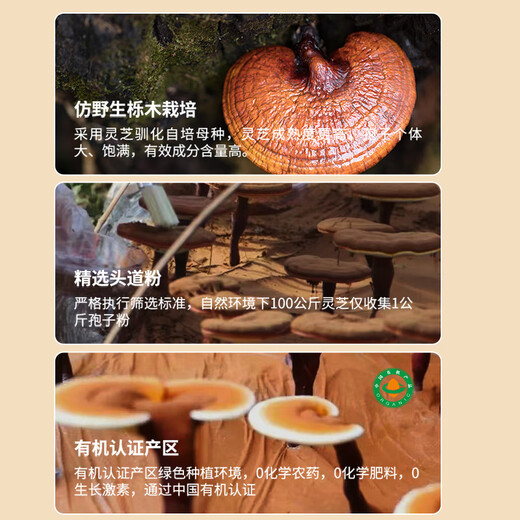 
Lejiaxiaxing Selenium-rich Yeast Broken Wall Ganoderma Lucidum Spore Powder Capsule Gift Box Gift Gift 30g 30g (0.3g/100 capsules) 1 bottle