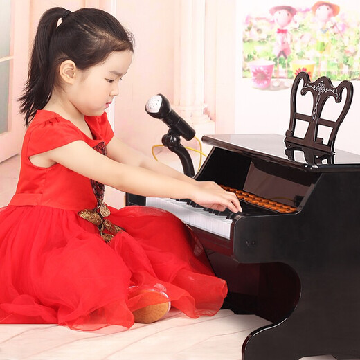 BAOLI Children's Electronic Piano Toy Baby Music Enlightenment Early Education Beginner 3-6 Years Old Boys and Girls Birthday Gift