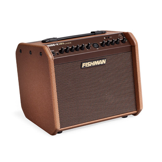 FISHMAN Fisherman Singing Speaker Loudbox Acoustic Guitar Outdoor Singing Roadshow Electric Blowpipe Live Broadcast Acoustic Instrument Speaker 60w Rechargeable (mini charge) Official Standard