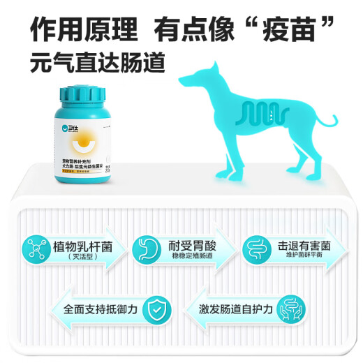 Wei Shili intestinal tablets 400 tablets pet dog probiotics gastrointestinal treasure trace elements gastrointestinal absorption benefit Teddy Golden Retriever intestinal