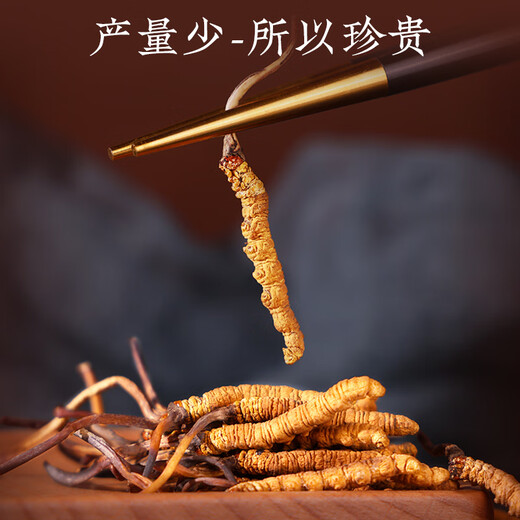 同仁堂品牌冬虫夏草约4根/g1g约4根自用高端中老年营养滋补品北京同仁堂
