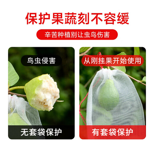 Sac à fruits de Bingyu, sac en filet en maille anti-insectes et en masse à l'étranger, sac de protection à la pêche à la pêche, sac de gaze, 45 * 30 cm (100 pièces) BYYN-854