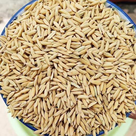 10 Jin Jin is equal to 0.5 kg. Hulled rice, millet, rice, cereal grains, rice for chickens, ducks, geese, pigeons, hamsters, pet feed. Farm rice 10 Jin Jin is equal to 0.5 kg (no purchase limit)