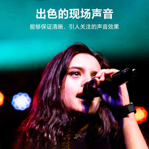 Sennheiser Sennheiser Sennheiser XSW1 825/835 One-One Handheld Wireless Microphone Home Karaoke Conference Live Sound Carte Singing Microphone One-Two XSW1-835 Person Single + Babyface Sound Card